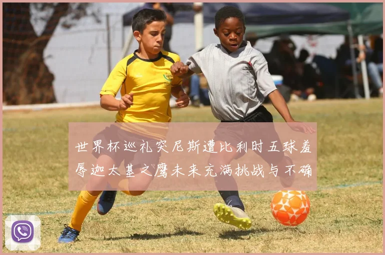 世界杯巡礼突尼斯遭比利时五球羞辱迦太基之鹰未来充满挑战与不确定性